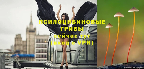 COCAINE Лабытнанги