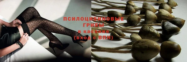 синтетический гашиш Ладушкин