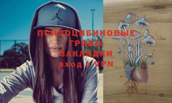 синтетический гашиш Ладушкин