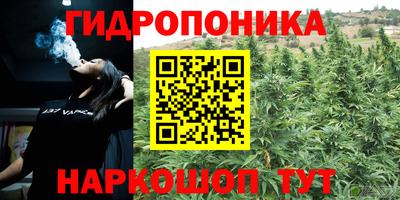 apvp Волжск