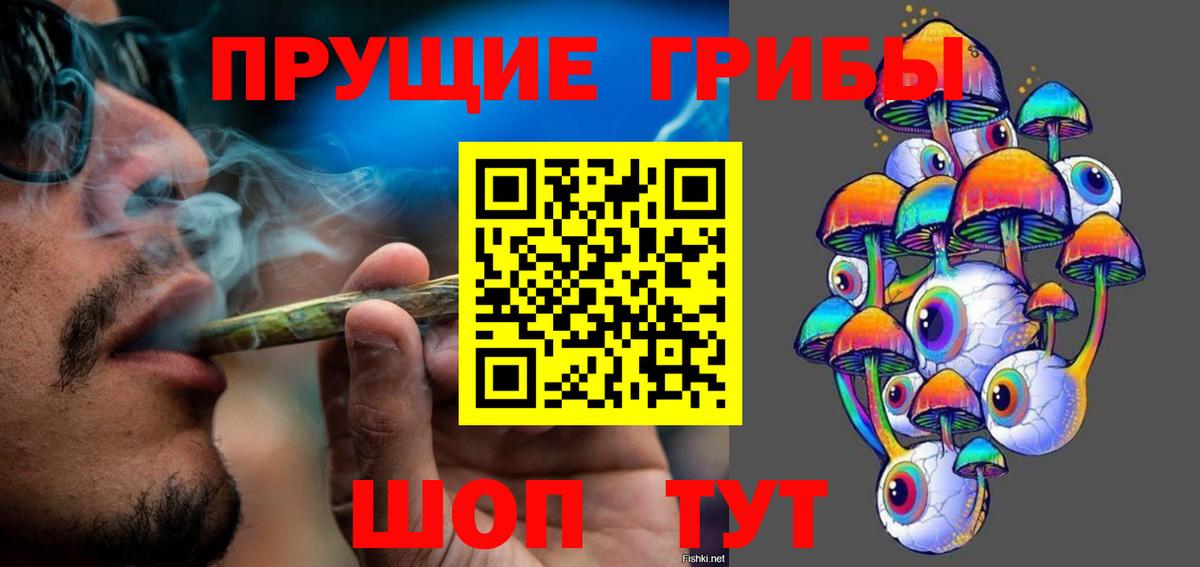 Псилоцибиновые грибы Psilocybine cubensis Екатеринбург
