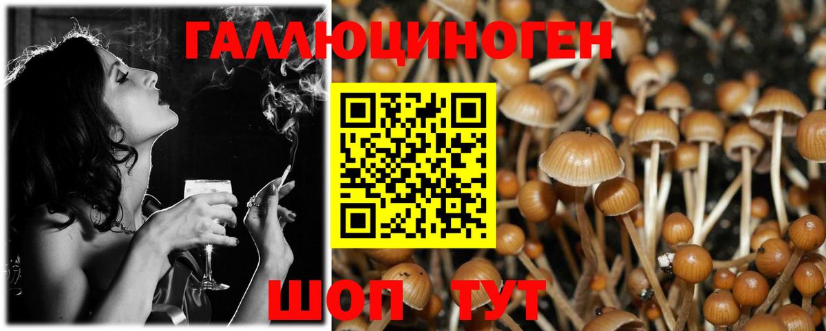 Галлюциногенные грибы Cubensis Екатеринбург