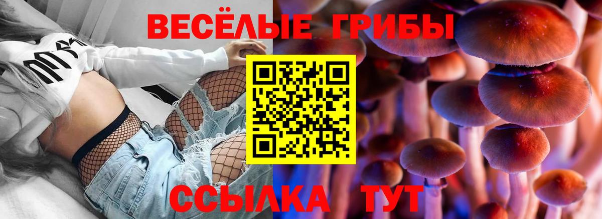 Екатеринбург  Псилоцибиновые грибы мухоморы  хочу наркоту  Вход с VPN 