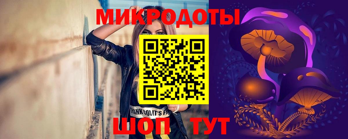 Псилоцибиновые грибы Psilocybe  Екатеринбург  где купить наркоту  Псилоцибиновые грибы мицелий 